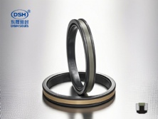 孔用组合密封件SPGW